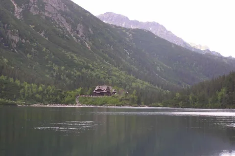 Tak zielono to tylko w maju.