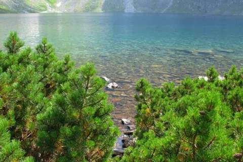 Czarny Staw pod Rysami