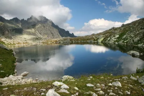 Wyzni Harnaski Staw