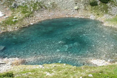 Staw Staszica