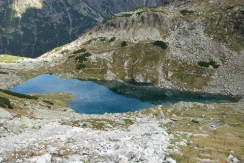 Staw Staszica