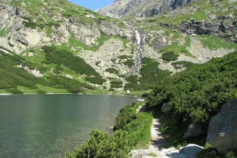 Wielicki Staw