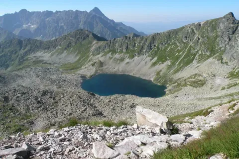 ZADNI STAW