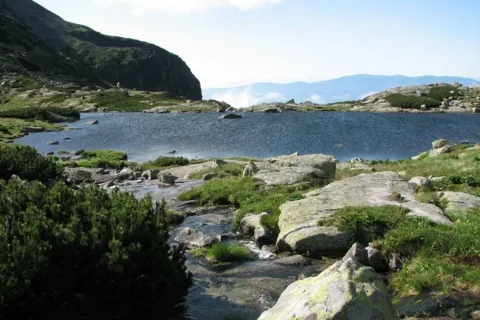 staw nad Skokiem