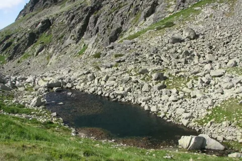 Kozi Staw