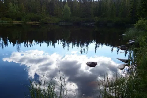 Jamski Staw