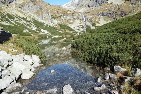 Wielicki Staw