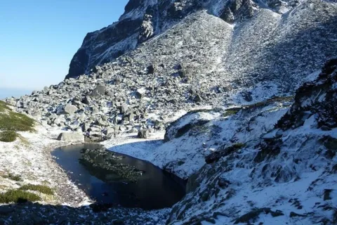 Warzęchowy Staw
