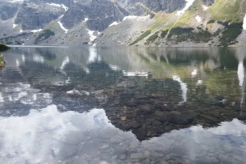 Kościelec