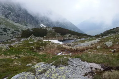 Wyżni Mnichowy Stawek