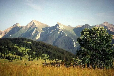 Tatry Bielskie z Magury Spiskiej