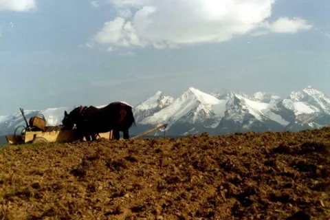 Widok z Podhala na Tatry