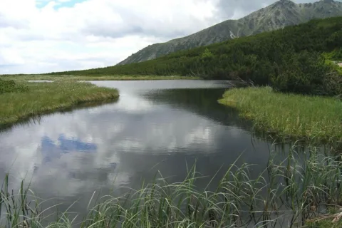 Trojrohé pleso(Stręgacznik)