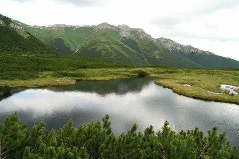 Trojrohé pleso(Stręgacznik)