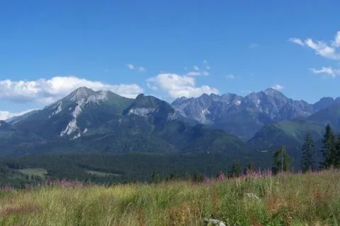 Panorama z Polany Zgorzelisko