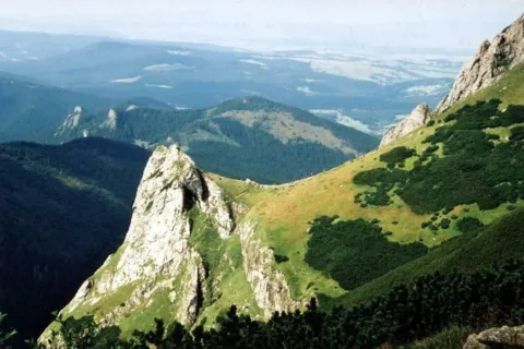 Co widać, każdy widzi