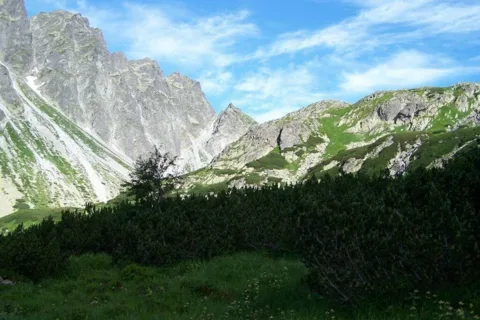 fragment Grani Baszt