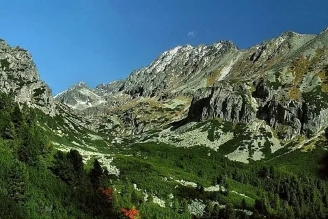 \'Dolina Młynicka\'