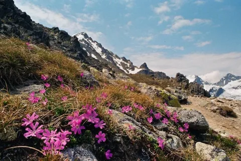 Tatry są Wysokie a pierwiosnek tylko  maleńki. Widok ze szlaku na Sławkowski Szczyt
