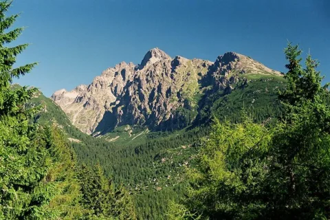 Łomnica z Siodełka