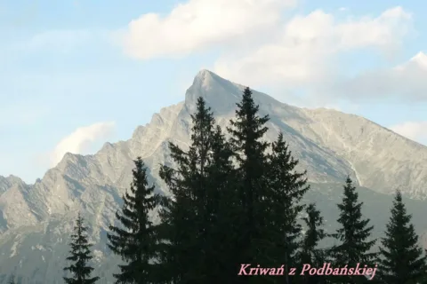 Kriwań