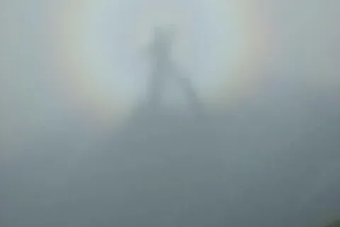 Halo