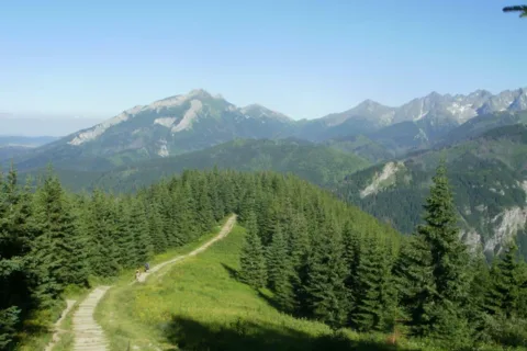 Tatry Bielskie i Wysokie . Widok ze grzbietu Gęsiej Szyj
