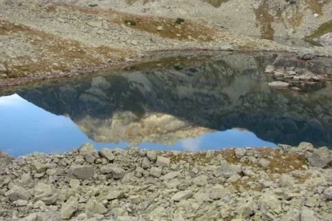 Żabi Staw