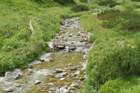 Dolina Jaworowa