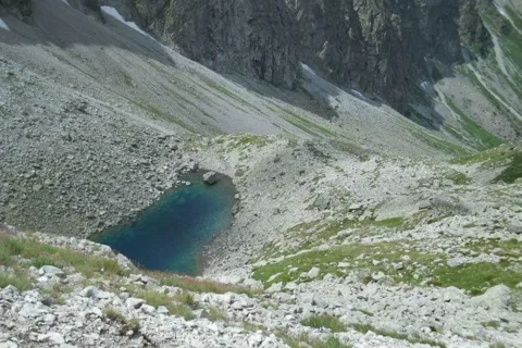 Żabi Staw Jaworowy