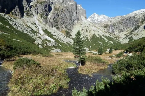 Wielki Łomnicki Ogród