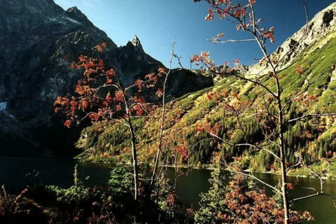 Mnich