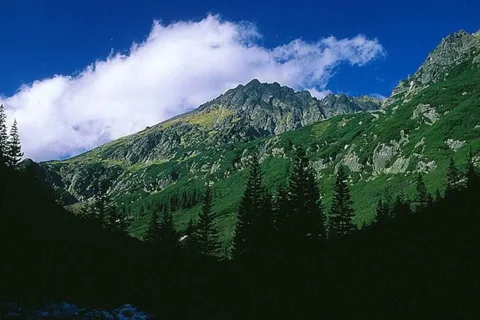 Widok z Doliny Roztoki