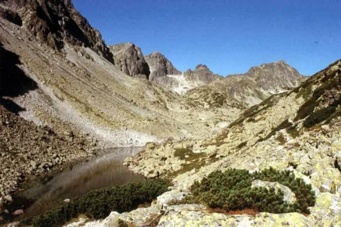 Dolina Staroleśna