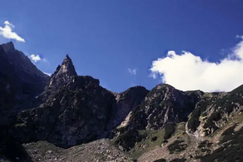 Mnich