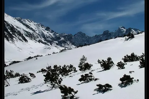 Wolarczyska