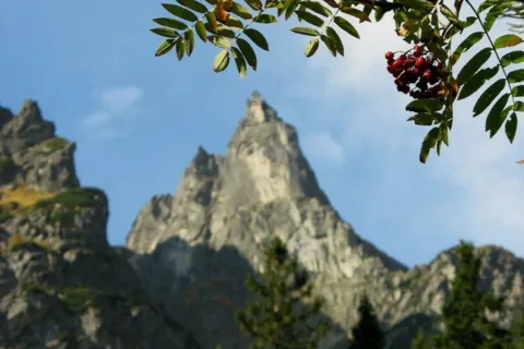 Mnich