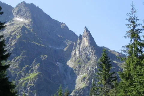 Mnich