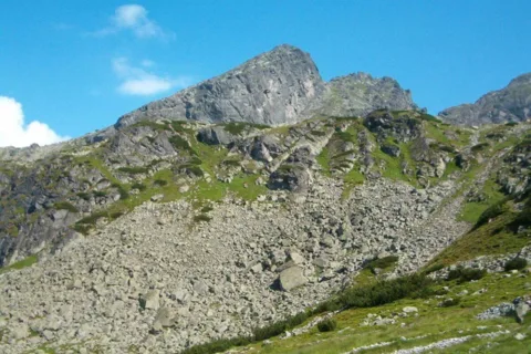 Kościelec