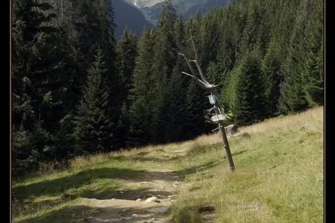 Spokojny widok...