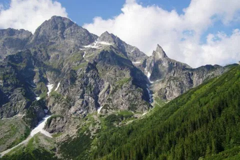Mnich, Mniszek ...
