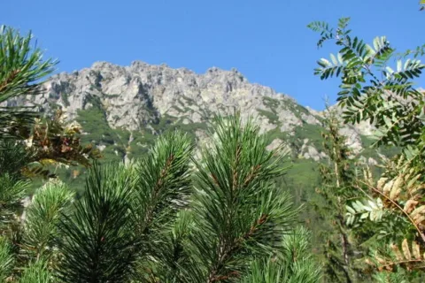 Dolina Roztoki