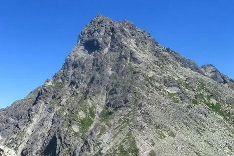 Świnica