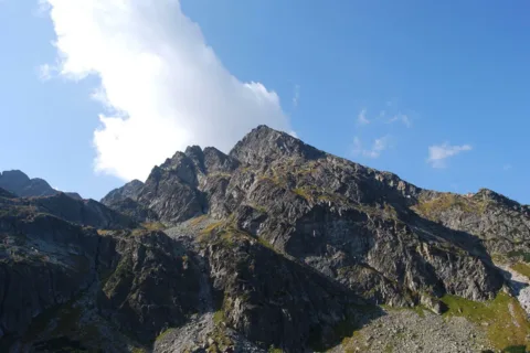 Kościelec