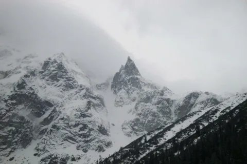 mnich