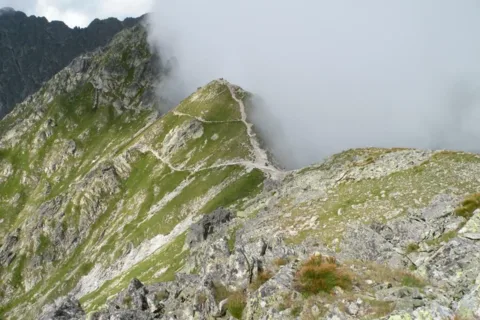ORLA PERĆ