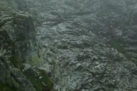 Orla Perc