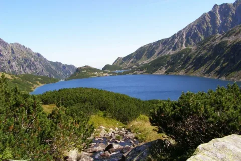 piątka