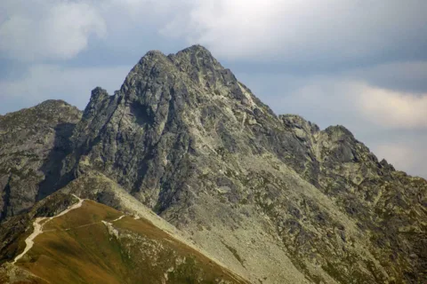 Świnica