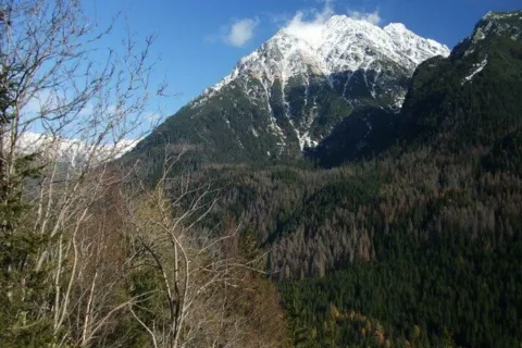 Kvoka Hruba kopa Nefcerska veza ZJZ Mala Krivanska Straznica Koprova dolina